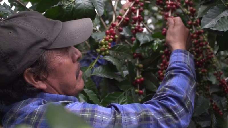 Registran exportaciones agroalimentarias de México el valor más alto de los últimos 30 años en el lapso enero-abril