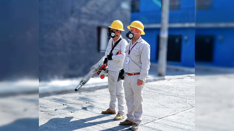 SSM continua con trabajos de saneamiento contra el Dengue  