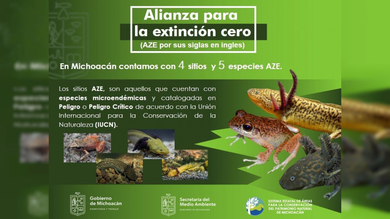 Michoacán cuenta con 4 sitios y 5 especies dentro de la Alianza para la Extinción Cero
