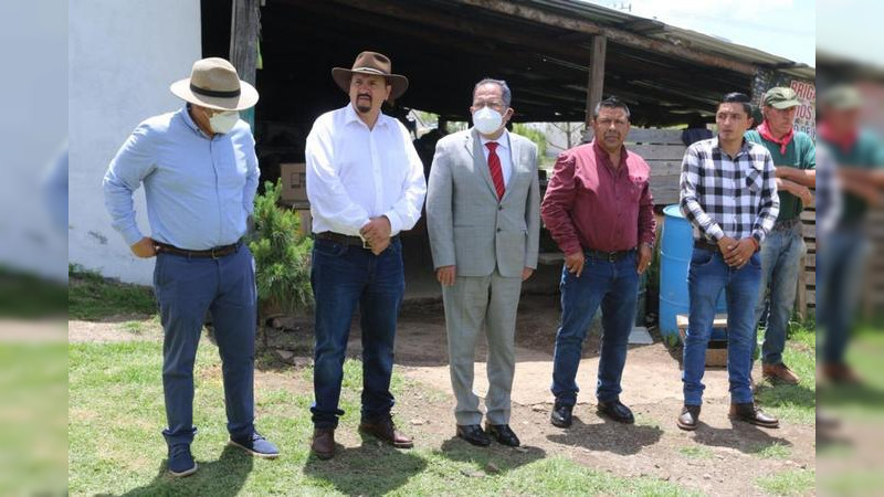 Entrega gobierno de Hidalgo, Michoacán, 1 millón de plantas a silvicultores del municipio