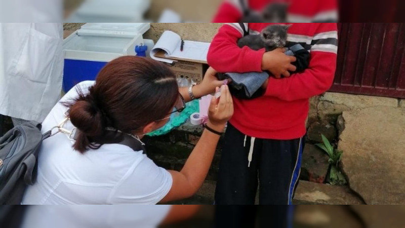  SSM mantiene 15 puestos de vacunación antirrábica en región Pátzcuaro  