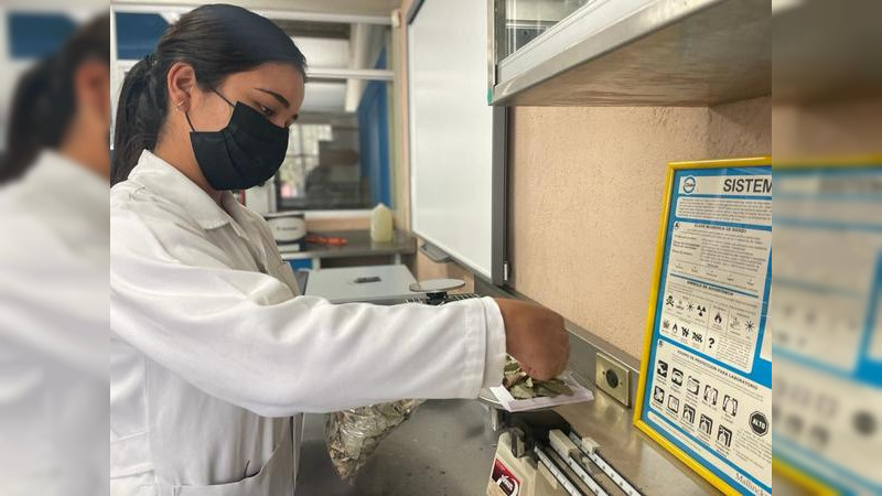 La UTM  abre Carrera de Técnico Superior Universitario en Procesos Alimentario, Área Alimentos Gourmet.