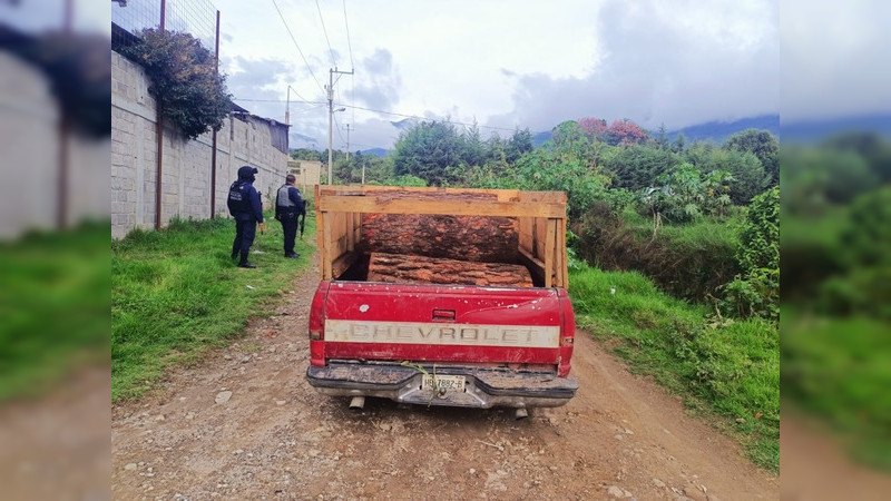 Decomisan en Zitácuaro, Michoacán madera de procedencia presuntamente ilícita 