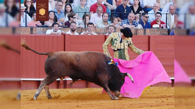 El novillero Isaac Fonseca “El Huracán de Morelia” vuelve hoy a Las Ventas de Madrid