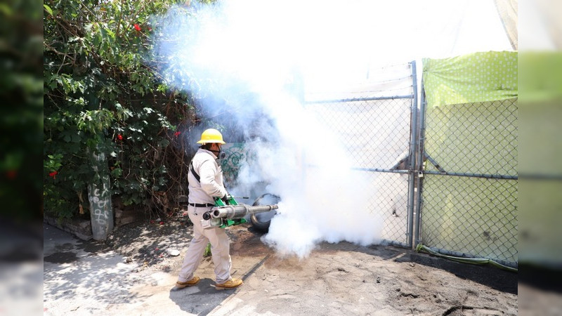 Michoacán se mantiene por debajo de la media nacional en casos de dengue 