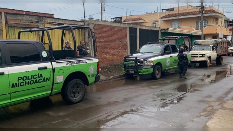 Asegura camión con madera presuntamente ilegal, en Uruapan, Michoacán