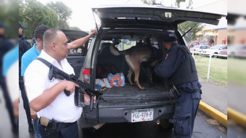 Con agrupamiento Canino de la Policía Michoacán refuerzan labores en Blindaje Zamora