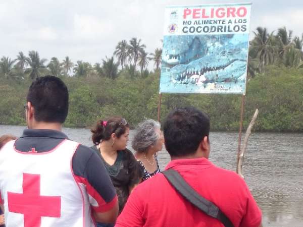 Menor es tragado por cocodrilo en Lázaro Cárdenas, Michoacán - Foto 0 