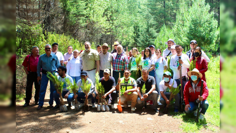 Arranca megareforestación en el Oriente de Michoacán