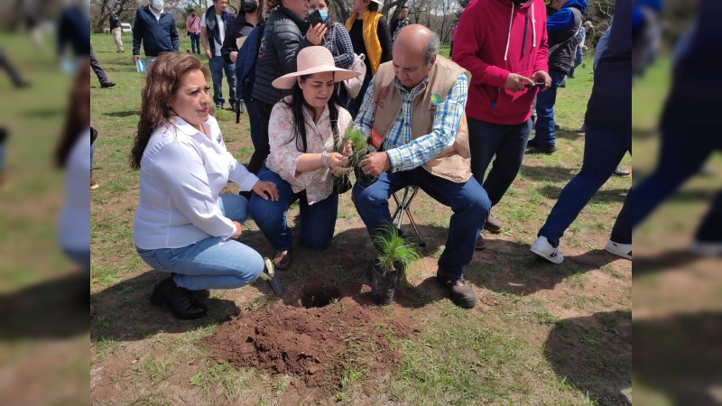Reforestan mil 500 árboles en Irimbo, Michoacán 