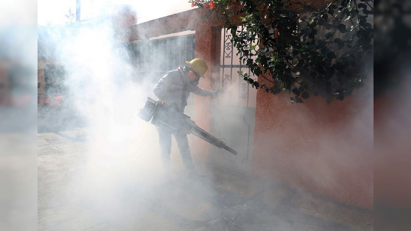  Refuerzan acciones vectoriales en Lázaro Cárdenas, Morelia y Pátzcuaro 