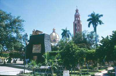 Este domingo inicia campaña de reforestación en Apatzingán 