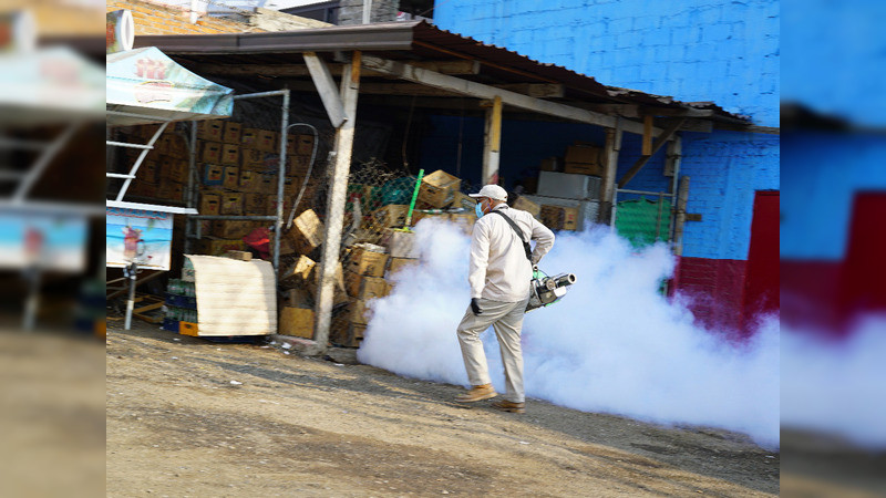 Michoacán sin registro de defunciones por dengue