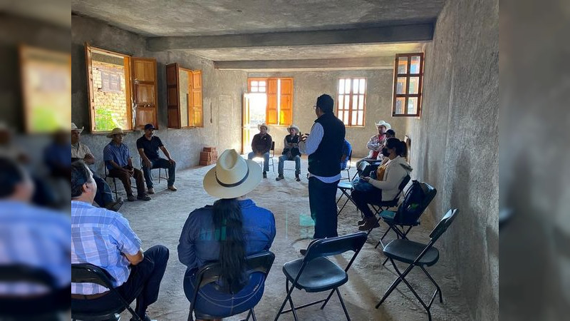 Arrancará Ayuntamiento de Pátzcuaro y UMSNH programa piloto para mejorar pulque que se produce en Pátzcuaro 