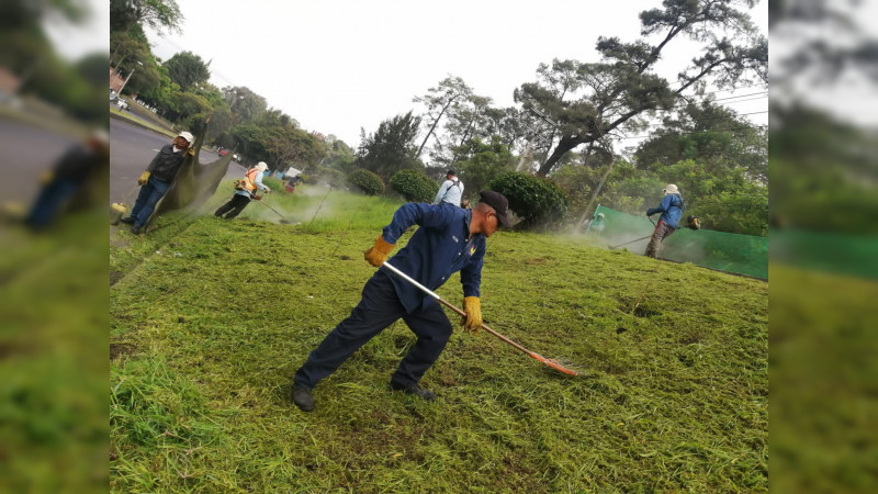 Mantienen trabajos de mantenimiento y limpieza en áreas verdes de la ciudad; Uruapan 