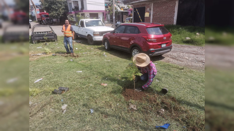 Mantienen trabajos de mantenimiento y limpieza en áreas verdes de la ciudad; Uruapan 