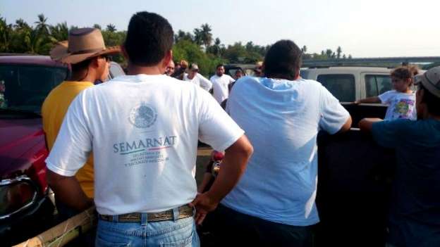 Continúan búsqueda de menor tragado por cocodrilo en Lázaro Cárdenas, Michoacán - Foto 0 