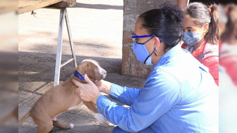 Erradicar maltrato a los animales es tarea de todos: Julieta Gallardo 