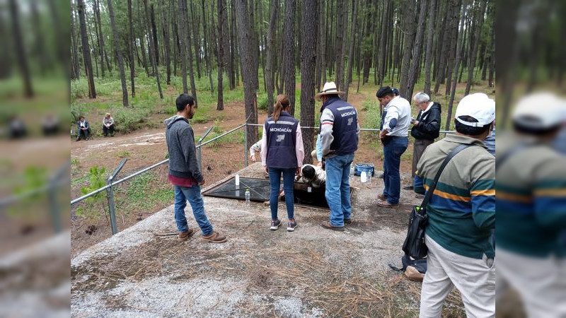 Refuerza Coepris vigilancia sanitaria en Los Azufres