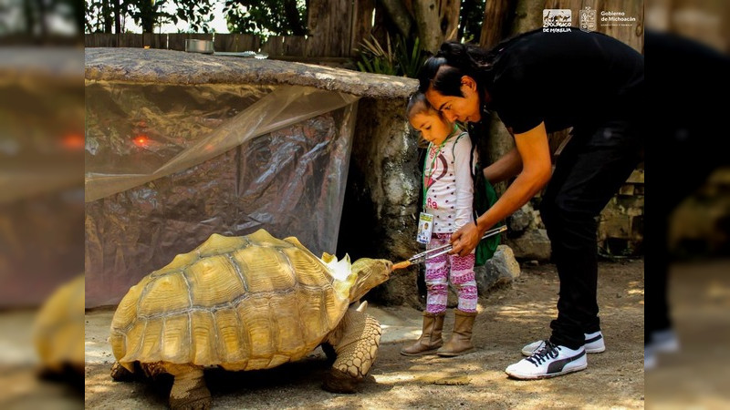 Última semana de inscripciones a ZooMundo 2022 de Morelia