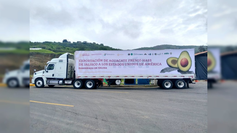 Tras 10 años, Jalisco reanuda exportación de aguacate a Estados Unidos