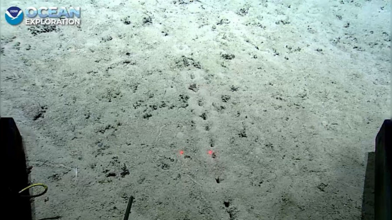 Encuentran orificios alineados al fondo del mar; se desconoce su origen   