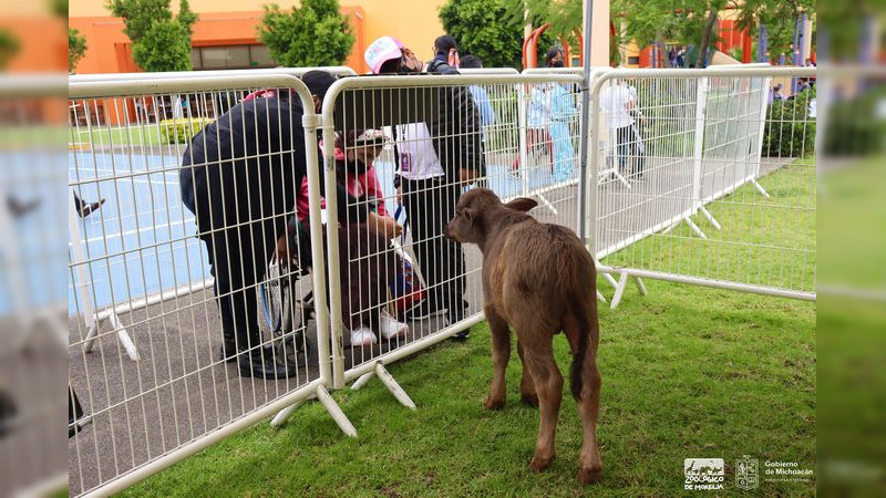 Zoológico de Morelia visita CRIT Michoacán