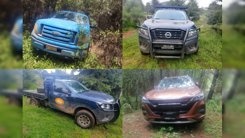 Aseguran 18 vehículos usados por delincuentes en Ocampo, Michoacán 