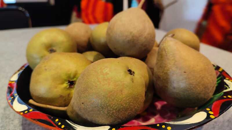 Realizarán 7° Feria de la Pera en La Cantera, Michoacán