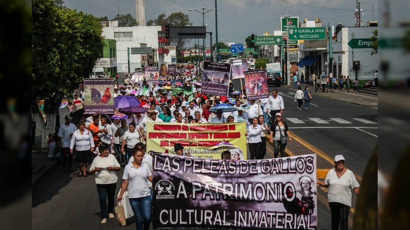 Este martes marchan taurinos, galleros y jaripelleros, contra iniciativas como la de Mayela Salas