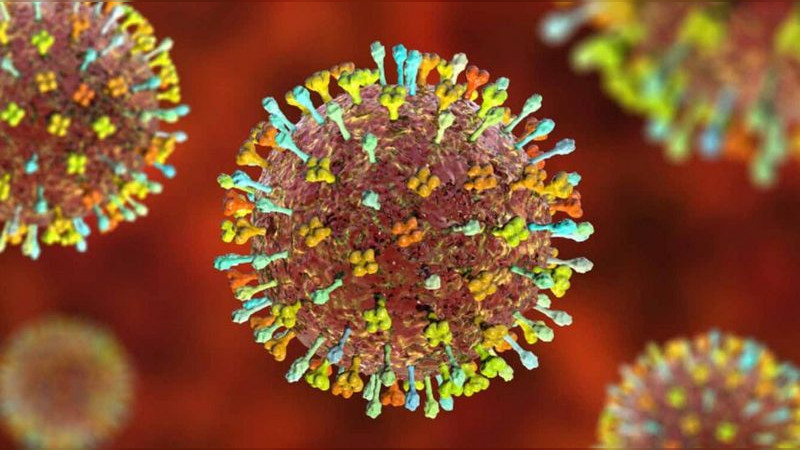 Estos son los síntomas del Henipavirus, recién detectado en China 