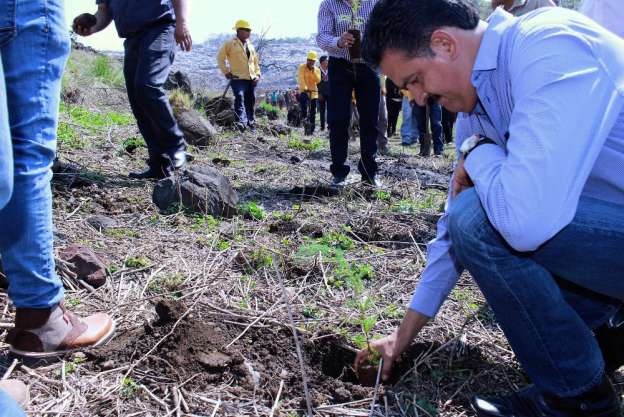 Arranca reforestación en rellenos sanitarios de Michoacán  - Foto 1 