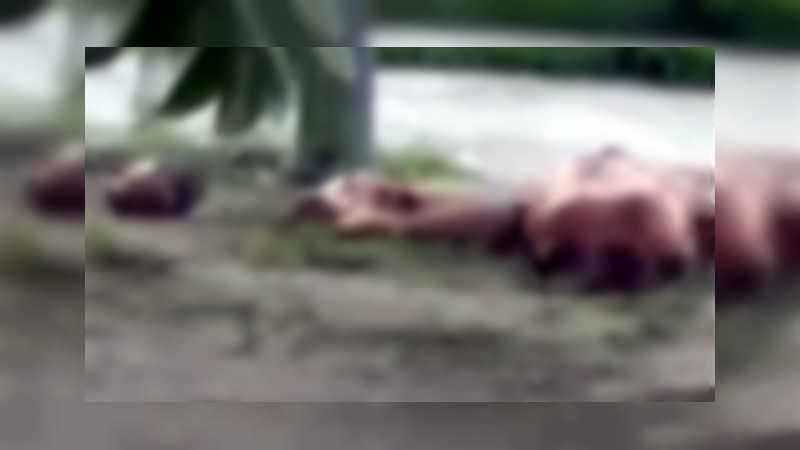 Encuentran cadáveres mutilados de dos mujeres en Manzanillo: Les quitaron la piel de los rostros 