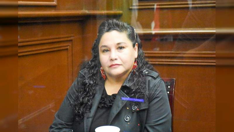 Asegura diputada Gaby Cázares que trabajan en ruta para revertir decisión de la corte 
