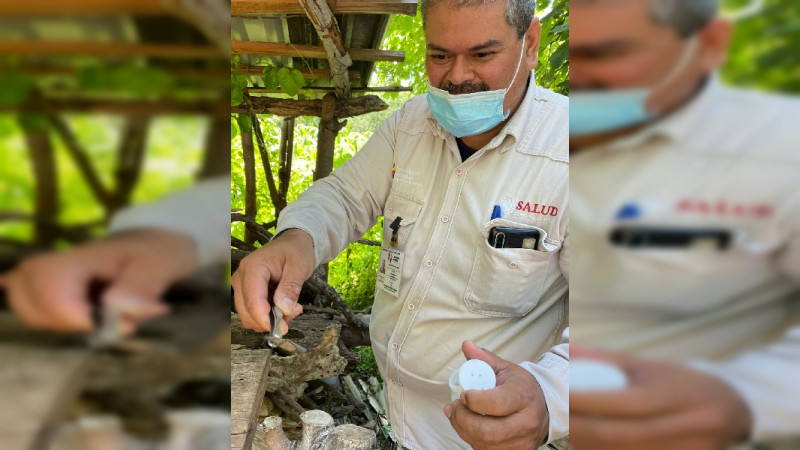 Inicia SSM acciones vectoriales para la eliminación del Chagas en la Nueva Jerusalén