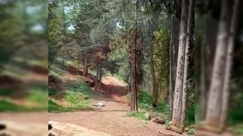 Ultiman a tiros a dos en el cerro de La Cruz de Uruapan, Michoacán
