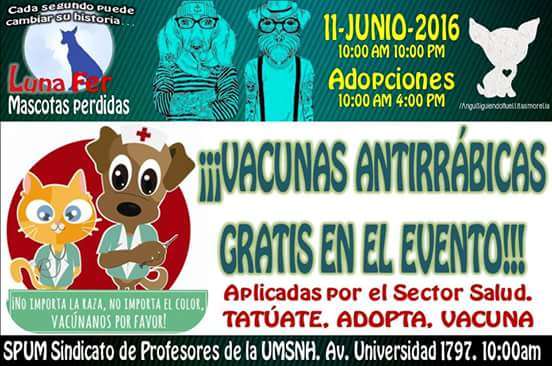 Mascotas en adopción y tatuajes, en la feria Tatúate y Adopta un Amigo, en Morelia - Foto 0 