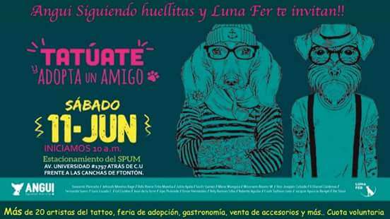 Mascotas en adopción y tatuajes, en la feria Tatúate y Adopta un Amigo, en Morelia - Foto 1 