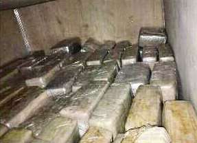 Aseguran casi 3 toneladas de marihuana ocultas en camión en Veracruz - Foto 3 