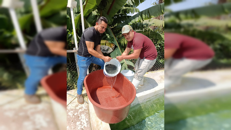 Continúa gobierno de Toño Ixtláhuac con apoyo de trucha arcoíris a productores 