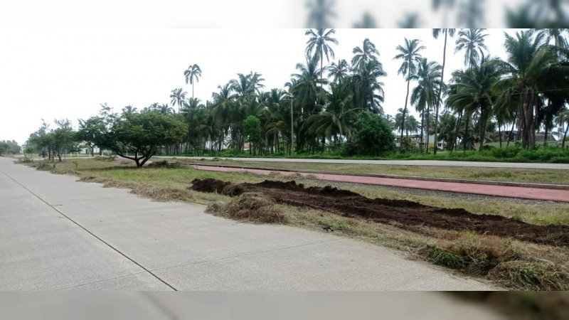 Gobierno de Michoacán prepara reforestación del boulevard costero en Lázaro Cárdenas
