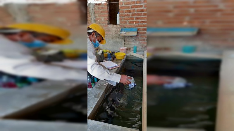  Cerca de un millón de acciones vectoriales realizadas en lo que va del año: SSM