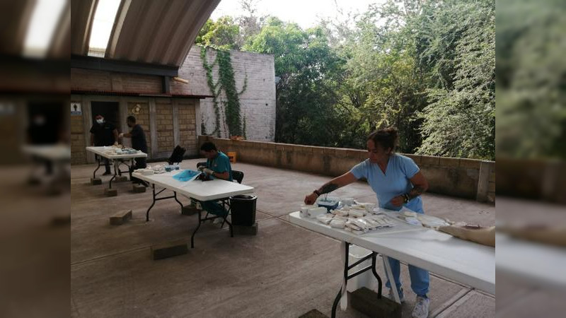 Esteriliza SSM 40 felinos y caninos en Carácuaro