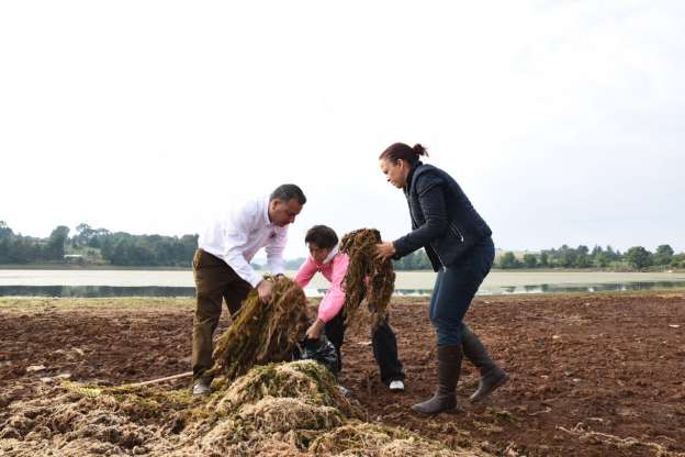 Diputados del PAN inician acciones de protección al medio ambiente - Foto 1 
