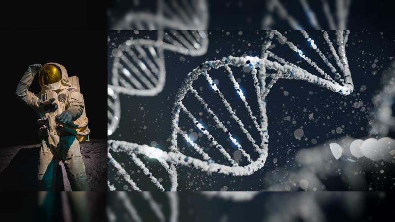 Descubren transformaciones en el ADN de astronautas, luego de vuelos espaciales 