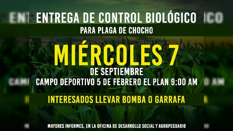 Entregará control biológico el gobierno municipal de Huandacareo, Michoacán 