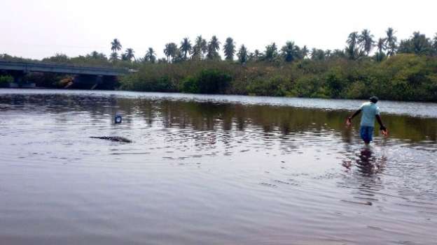 Buscan a cocodrilo que devoró a niño en Lázaro Cárdenas, Michoacán - Foto 0 