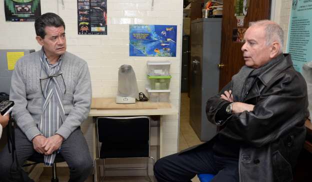 Descubre la UNAM dos nuevas especies de crustáceos - Foto 2 