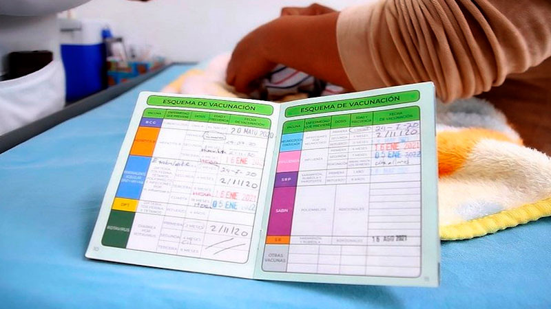 Cartilla de vacunación gratuita en centros de salud: Secretaría de Salud de Michoacán 