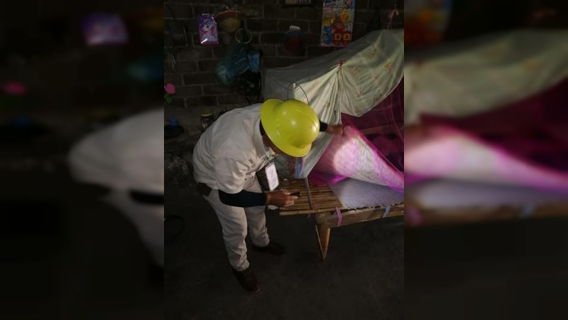 Hasta el momento, confirmados 28 casos de enfermedad de chagas en Michoacán: SSM